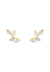 Default Title