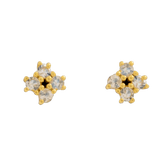 Unidad