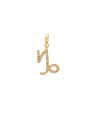 Charm Signo
