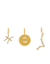 Piscis Zodiac Charm