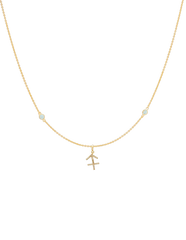 Collar signo