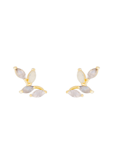 Default Title