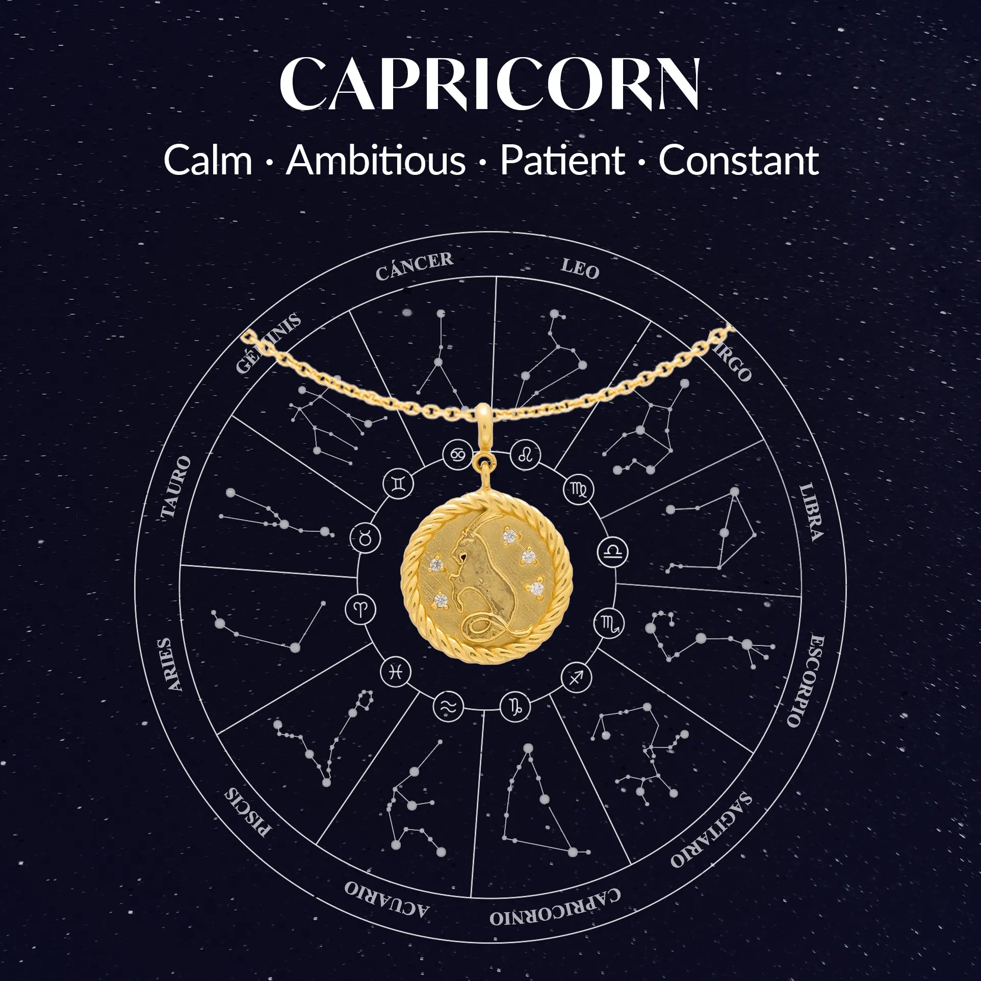 Capricorn Zodiac Charm