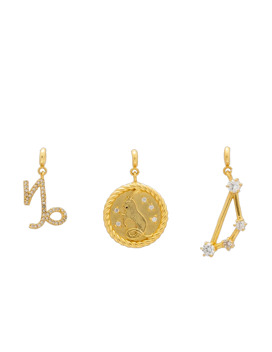 Capricorn Zodiac Charm